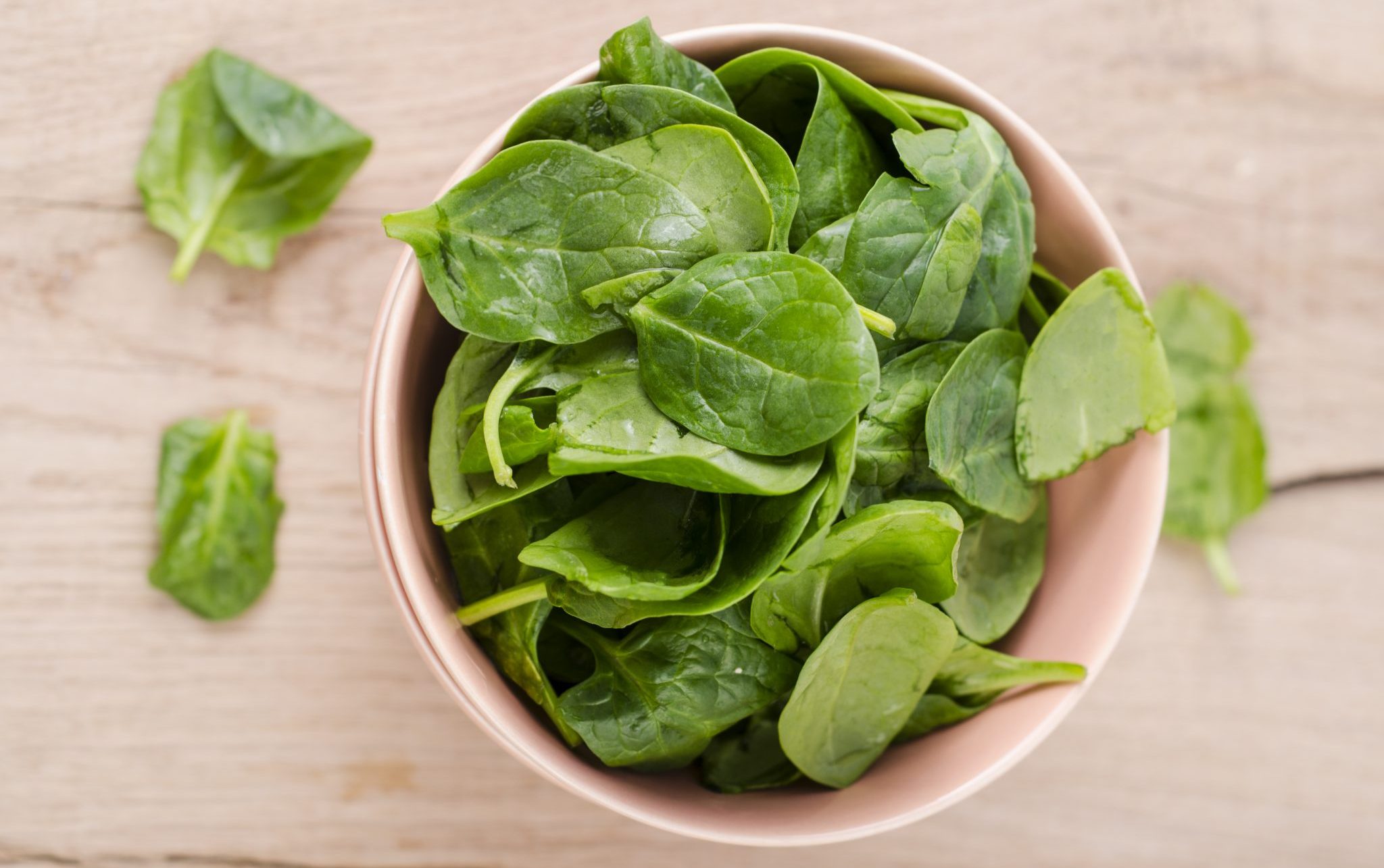 spinach plant