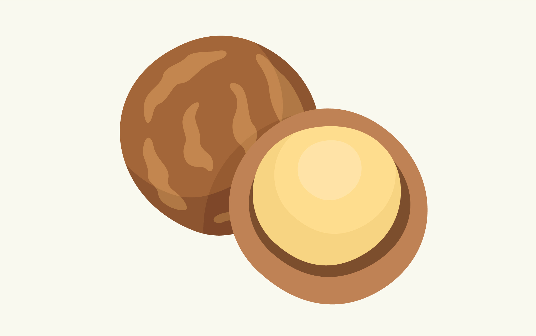 macadamia nut