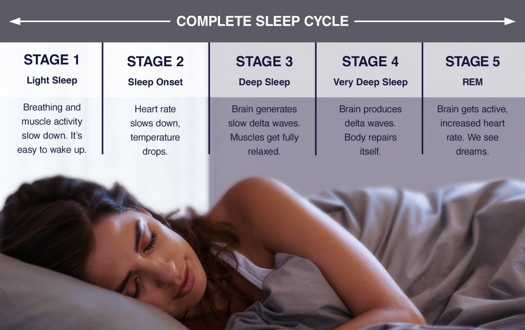 What Its Made Of: Understanding Your Sleep Cycle What Its Made Of: Understanding Your Sleep Cycle