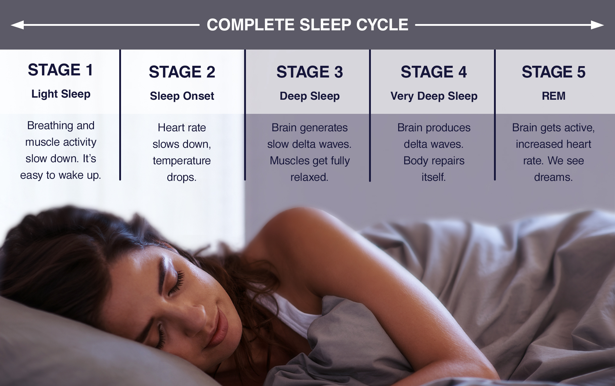 cycle of sleep