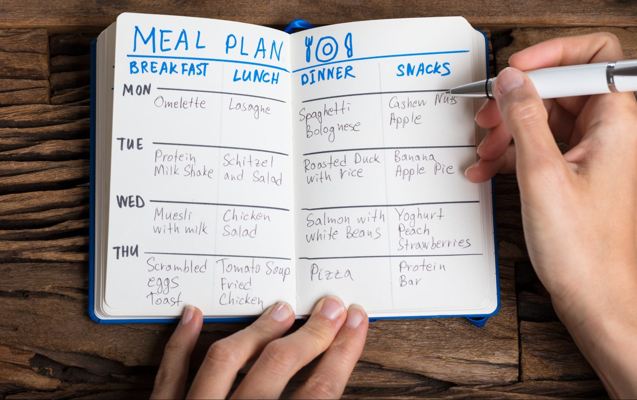 meal plan