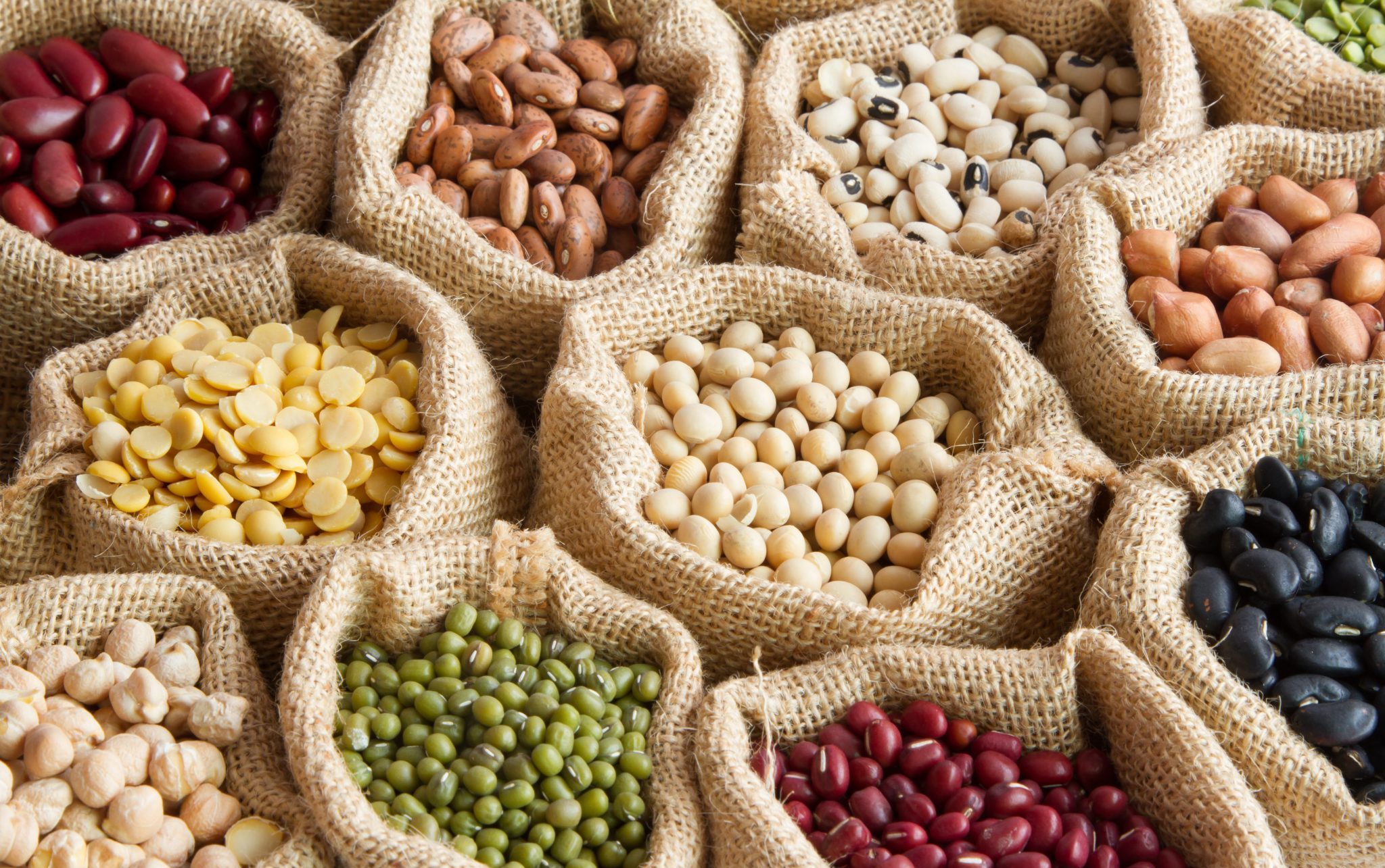 protein legumes