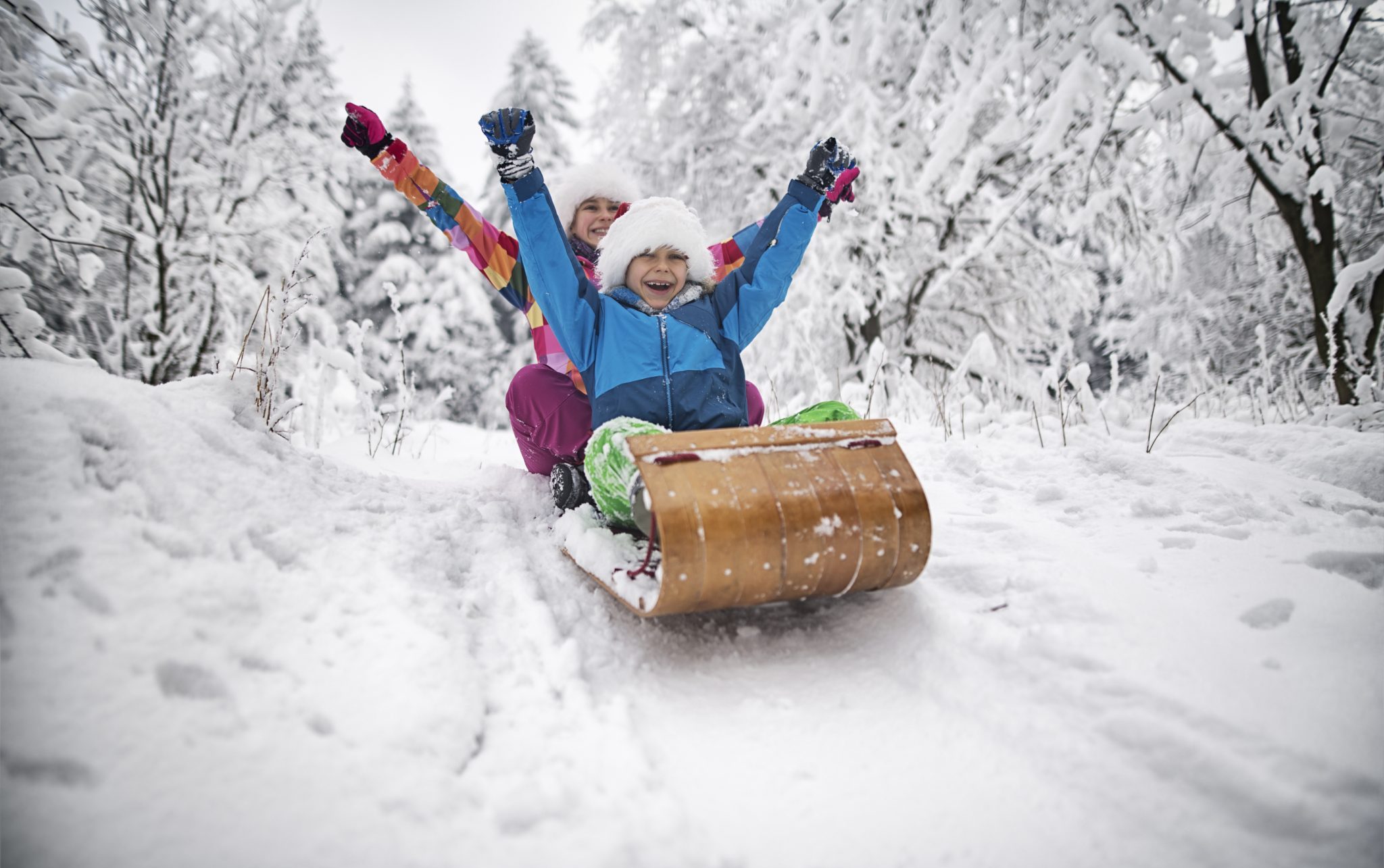 sleigh Christmas